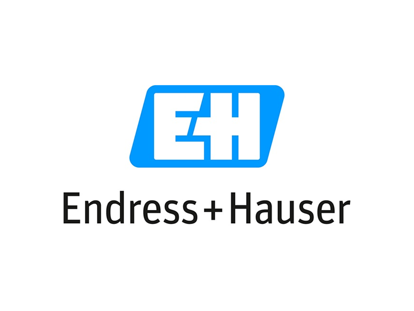 Endress+Hauser